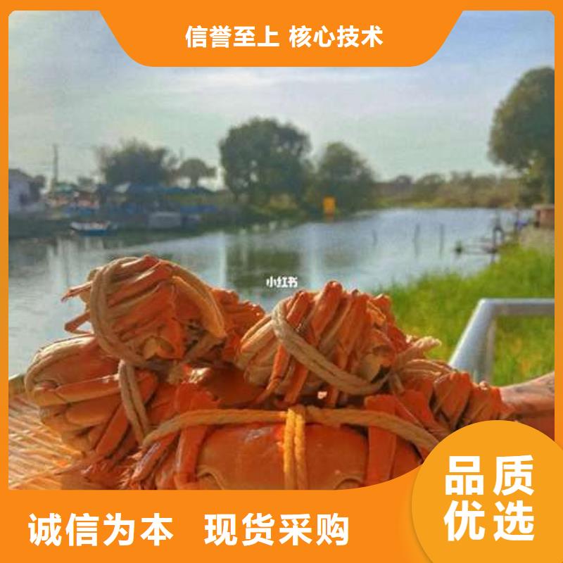 阳澄湖大闸蟹网上订购视频-临汾市阳澄湖大闸蟹网上订购-(同城)可服务区域襄汾|隰县|阳泉|长治|太原|晋城|晋中|大同