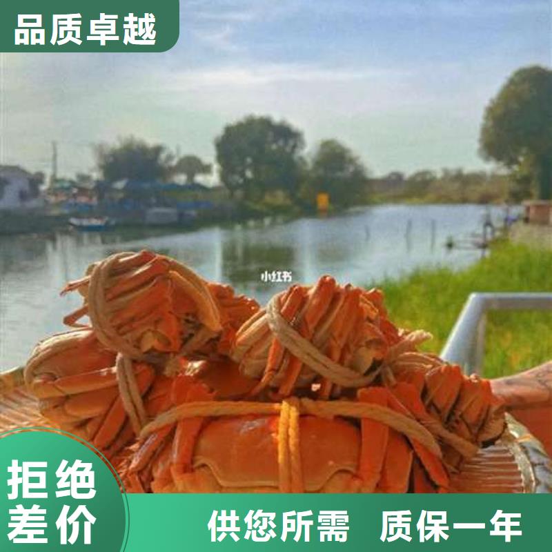 阳澄湖大闸蟹网上订购视频-宜兴|江阴|盐城|徐州|常州|宿迁|扬州|连云港顾记阳澄湖大闸蟹网上订购_ 阳澄湖镇岛顾记大闸蟹经营部(无锡市分公司)