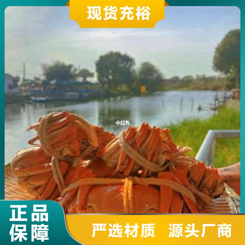 螃蟹,【哪里卖阳澄湖大闸蟹】以质量求生存_阳澄湖镇岛顾记大闸蟹经营部(泰州市分公司)