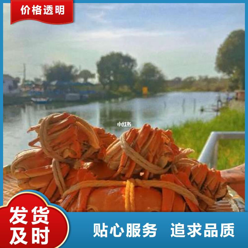 顾记阳澄湖大闸蟹网上订购【螃蟹】 阳澄湖大闸蟹多少钱专业生产N年qy55.com