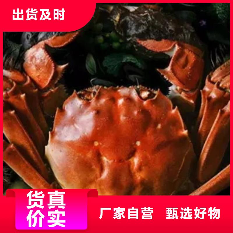阳澄湖大闸蟹厂家供应批发