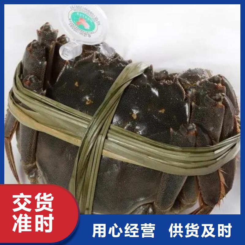 阳澄湖大闸蟹网上订购视频-临汾市阳澄湖大闸蟹网上订购-(同城)可服务区域襄汾|隰县|阳泉|长治|太原|晋城|晋中|大同