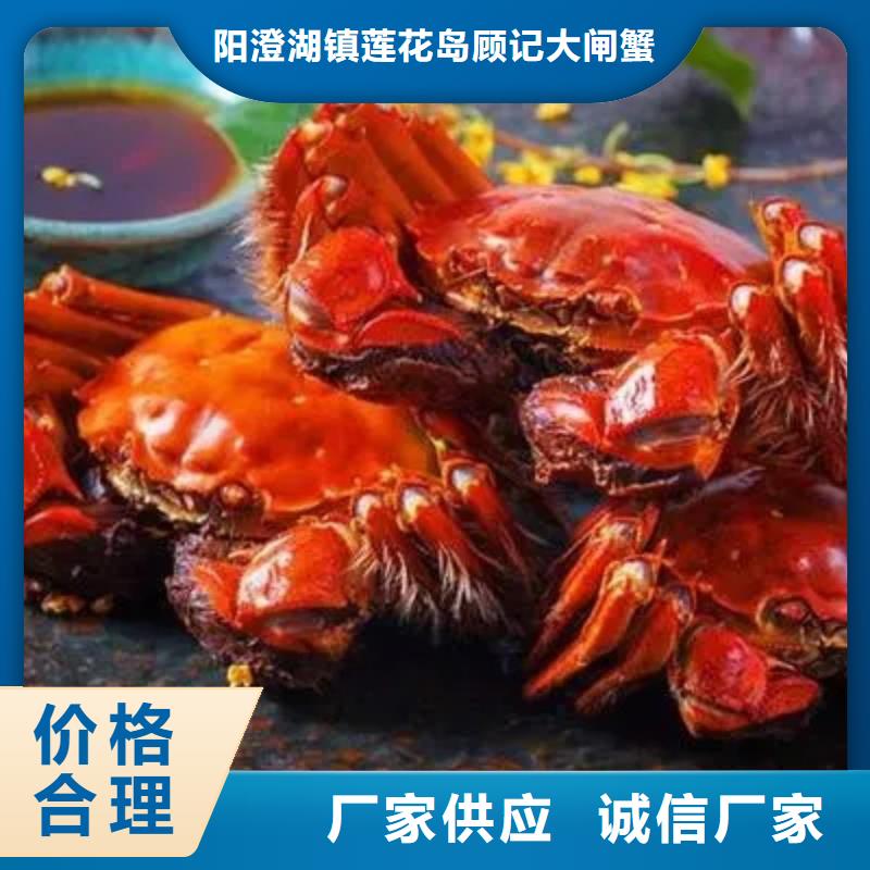 【专注生产N年螃蟹阳澄湖大闸蟹品质有保障】