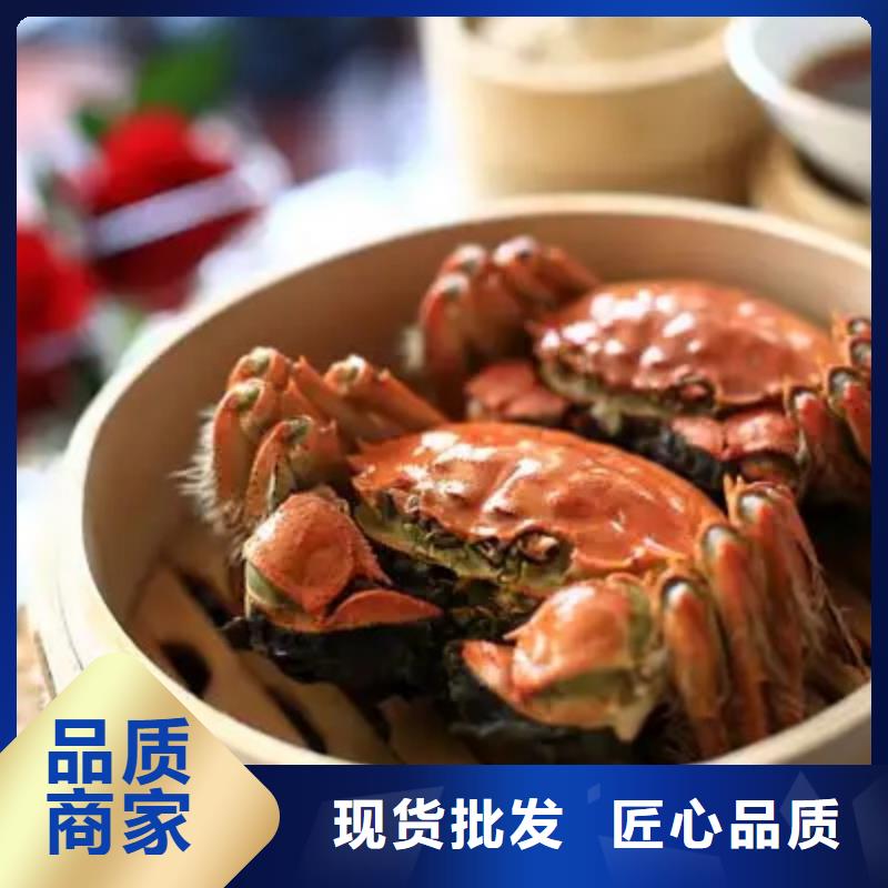 【专注生产N年螃蟹阳澄湖大闸蟹品质有保障】