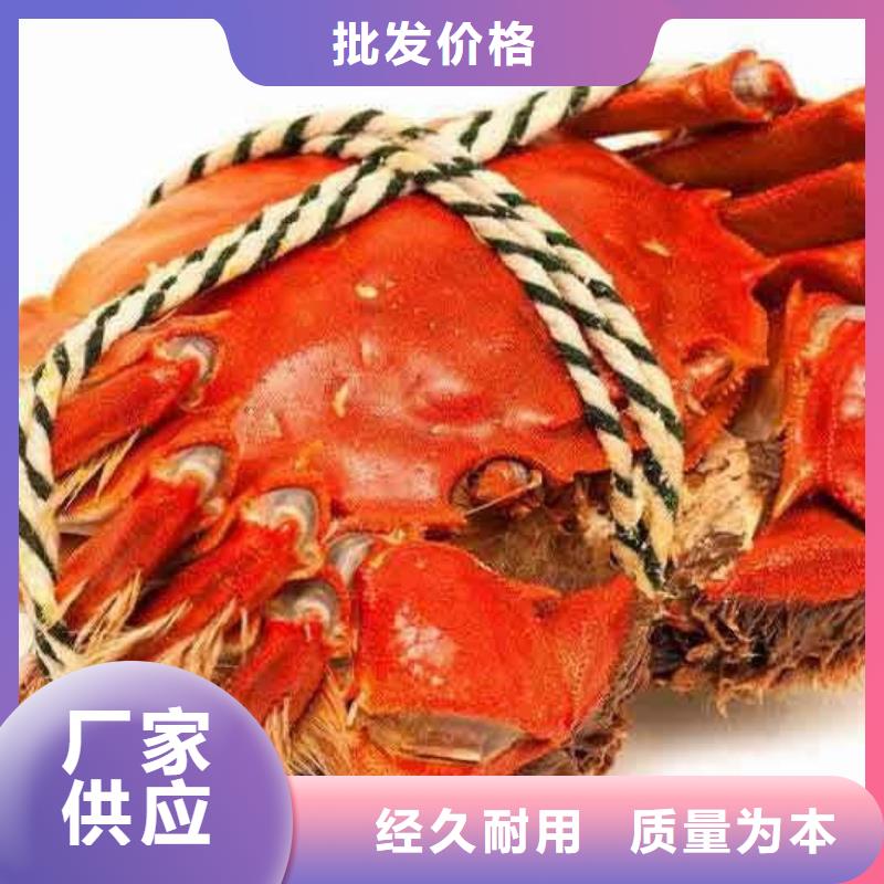 阳澄湖大闸蟹-点击咨询