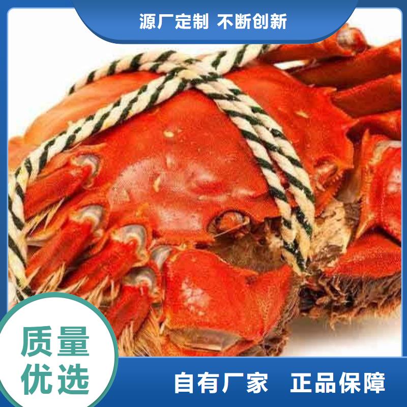 【专注生产N年螃蟹阳澄湖大闸蟹品质有保障】