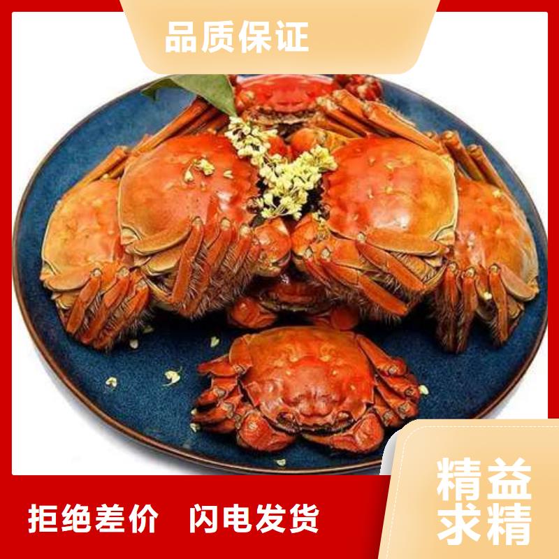 螃蟹,【哪里卖阳澄湖大闸蟹】以质量求生存|高港|靖江|苏州|盐城|无锡|扬州|徐州qy55.com