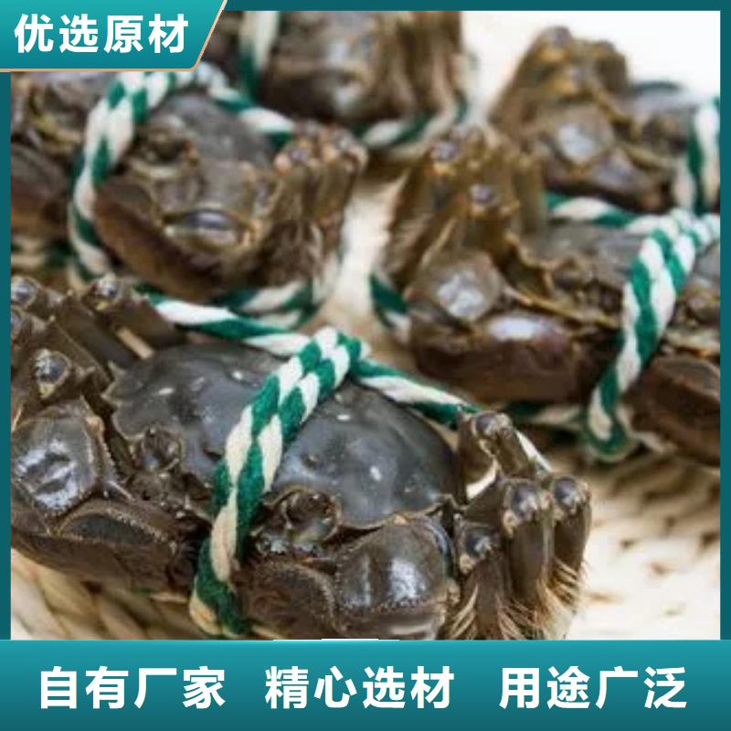 【螃蟹阳澄湖大闸蟹品质有保障】