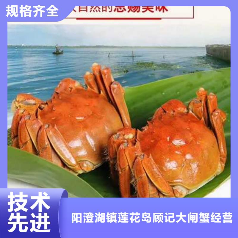 阳澄湖大闸蟹质量为主