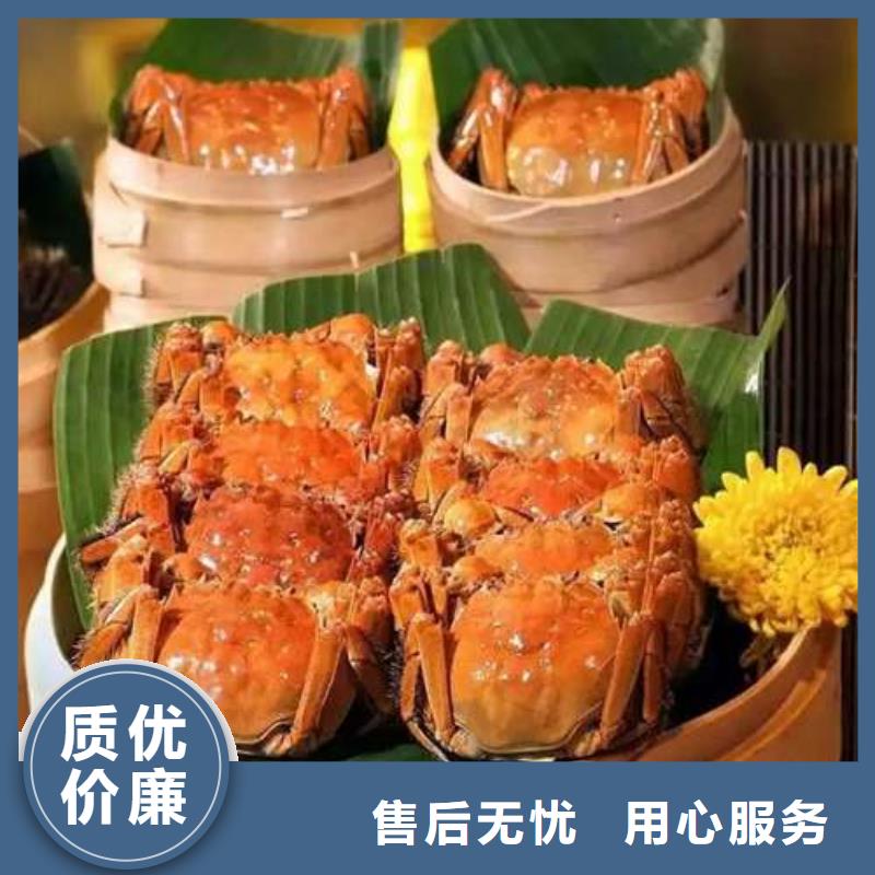 阳澄湖大闸蟹网上订购视频-宜兴|江阴|盐城|徐州|常州|宿迁|扬州|连云港顾记阳澄湖大闸蟹网上订购_ 阳澄湖镇岛顾记大闸蟹经营部(无锡市分公司)