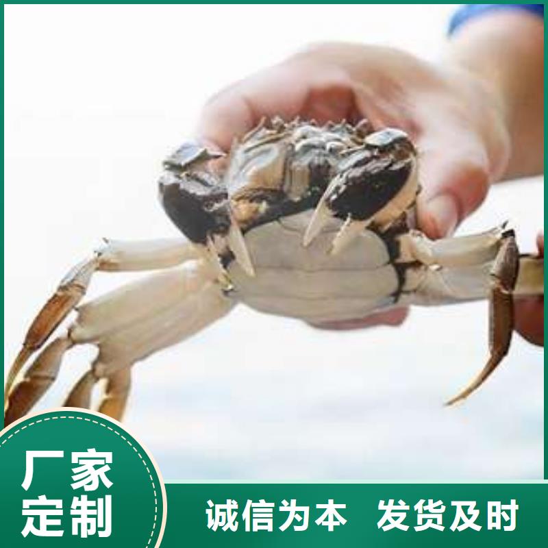 定做陽澄湖大閘蟹的銷售廠家