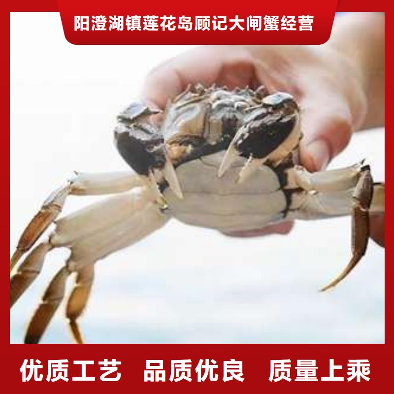 隰县|乡宁|朔州|运城|吕梁|晋城【螃蟹】_阳澄湖大闸蟹实时报价-阳澄湖镇岛顾记大闸蟹经营部(临汾市分公司)