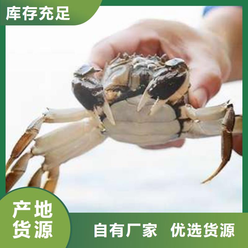 顾记阳澄湖大闸蟹网上订购【 螃蟹_阳澄湖农家乐自产自销】