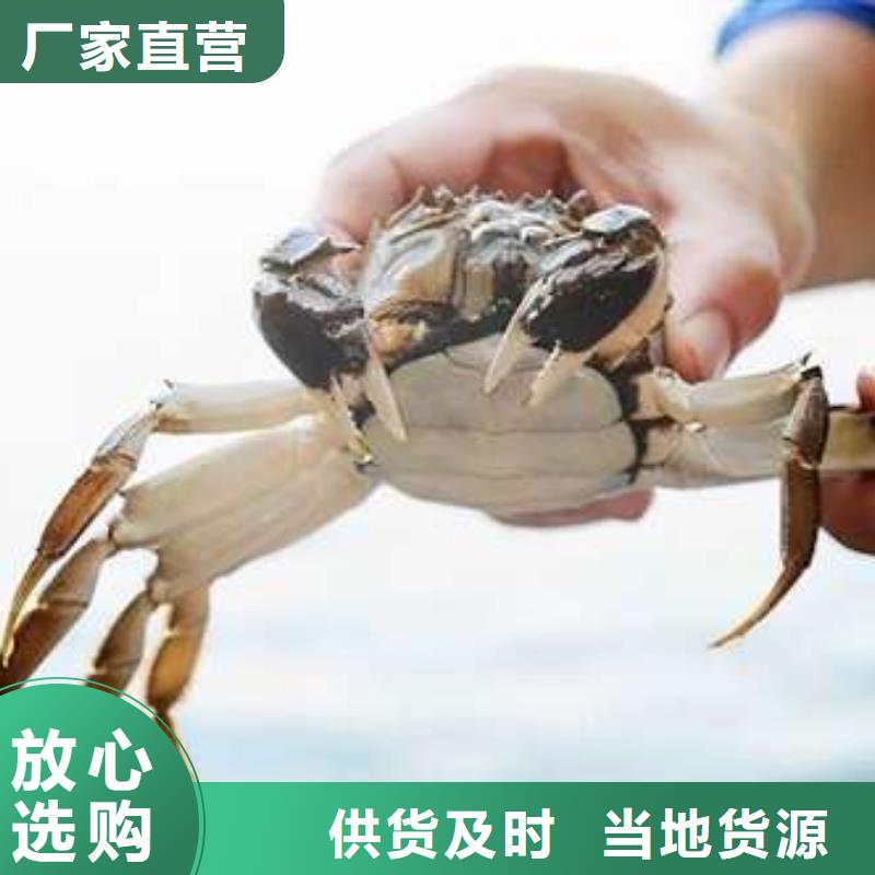 顾记阳澄湖大闸蟹网上订购【螃蟹】 阳澄湖大闸蟹多少钱专业生产N年qy55.com