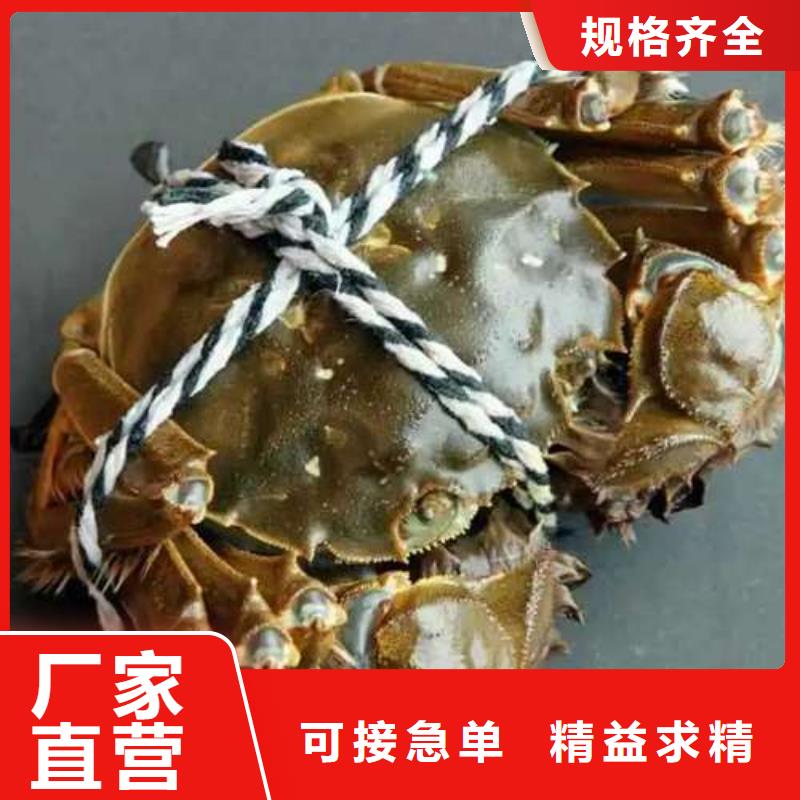 厂家大量现货【螃蟹】 阳澄湖大闸蟹多少钱专业生产N年顾记阳澄湖大闸蟹网上订购