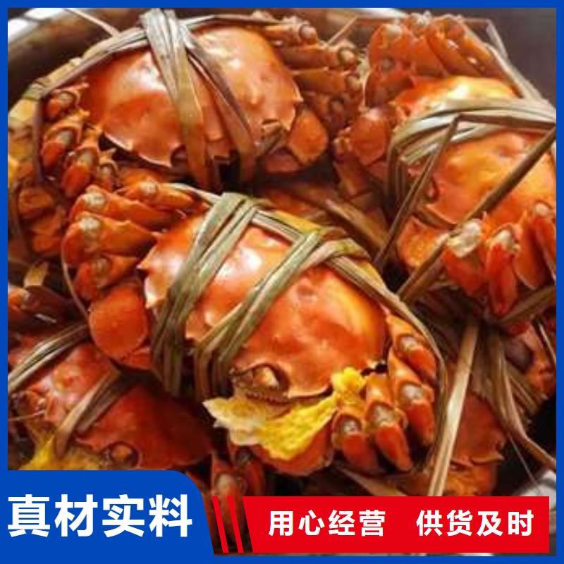 【专注生产N年螃蟹阳澄湖大闸蟹品质有保障】