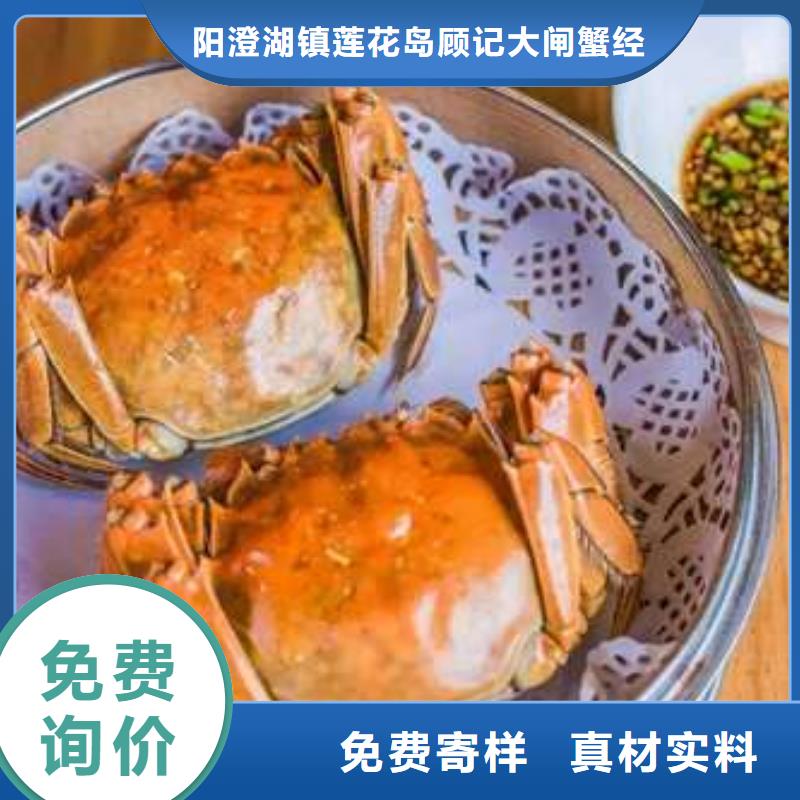 厂家精心打造 螃蟹-【阳澄湖大闸蟹】现货充裕