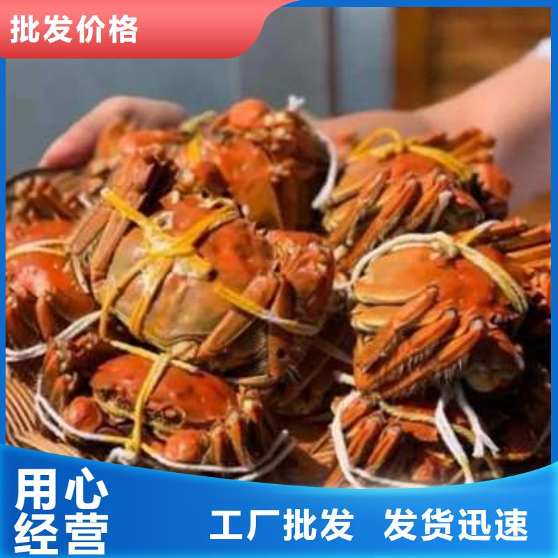 阳澄湖大闸蟹厂家技术领先