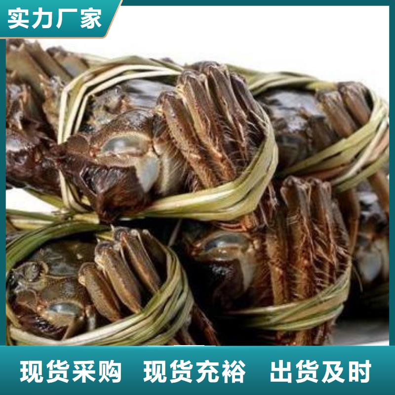 【 螃蟹_阳澄湖大闸蟹品质保证】-服务区域包括桑植|慈利|娄底|常德|长沙|永州|邵阳|湘西等-产品视频