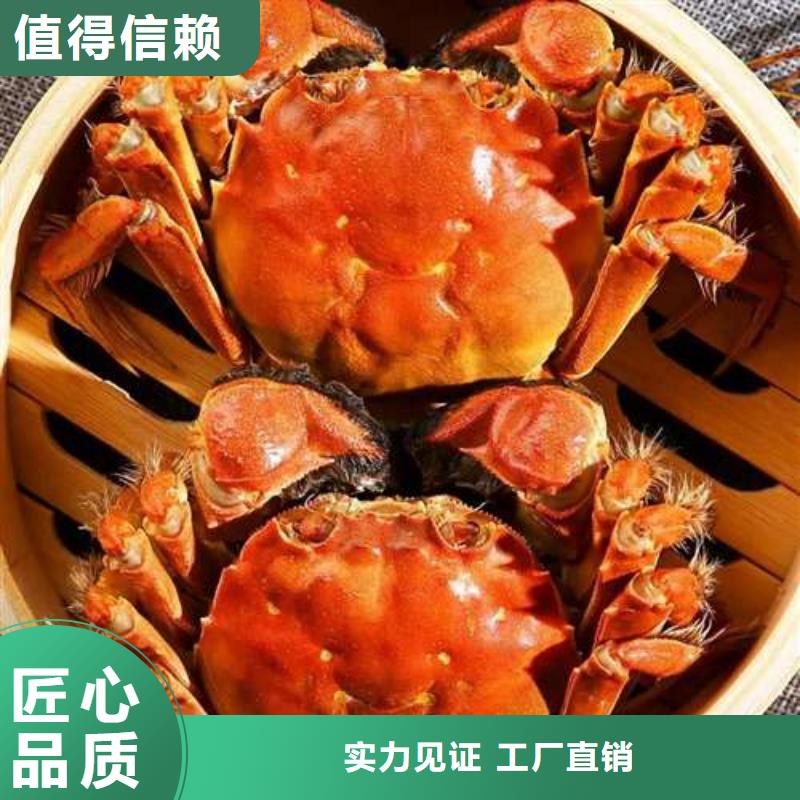 【 螃蟹_阳澄湖大闸蟹品质保证】同城生产厂家