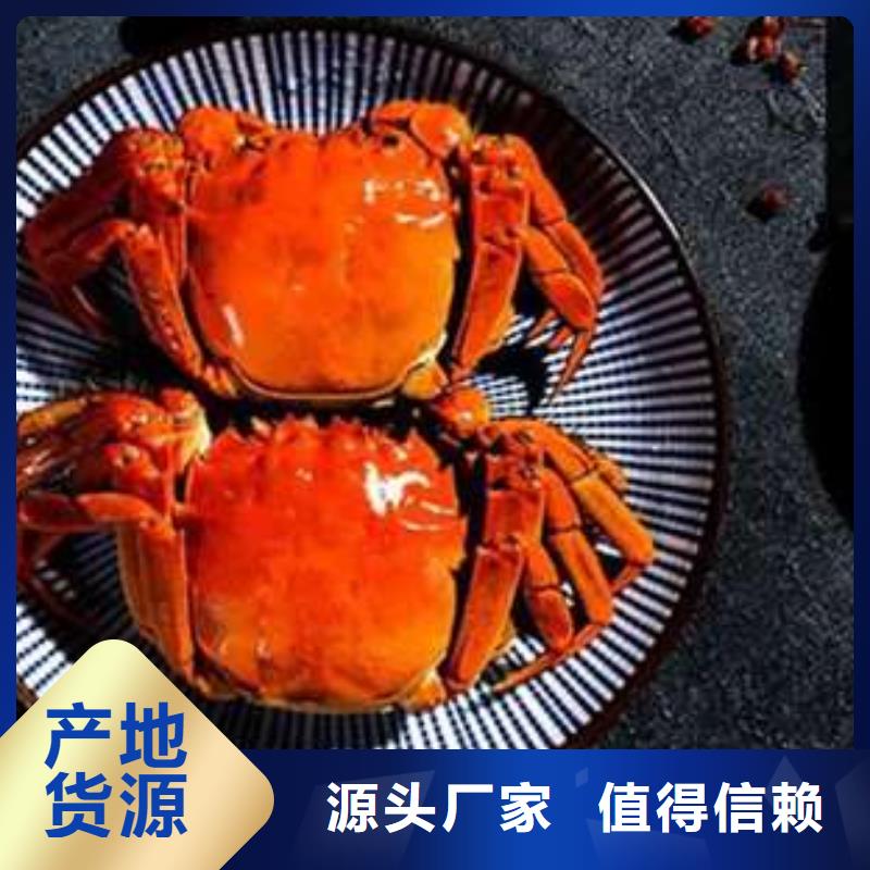 阳澄湖大闸蟹网上订购视频-河北省衡水市顾记阳澄湖大闸蟹网上订购可服务区域饶阳|枣强|唐山|石家庄|张家口|沧州等