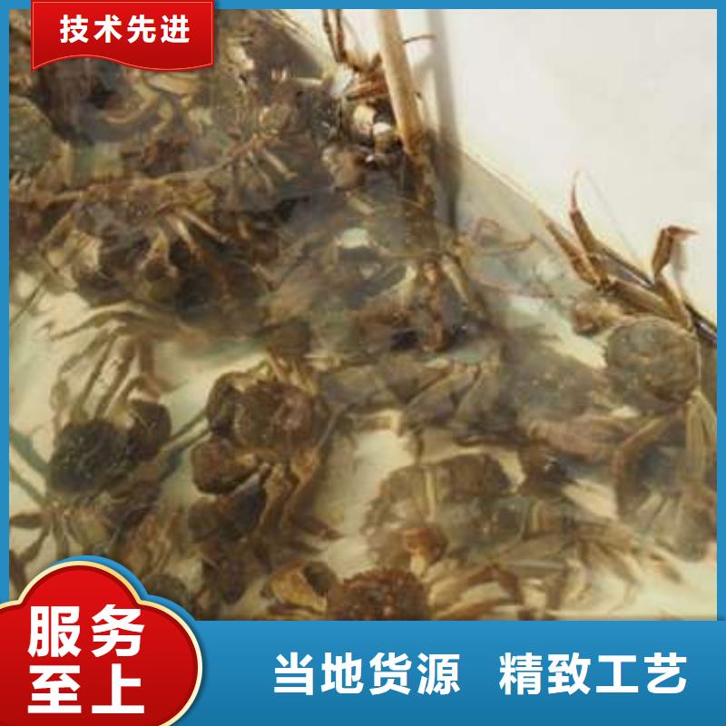 【 螃蟹_阳澄湖大闸蟹品质保证】同城生产厂家
