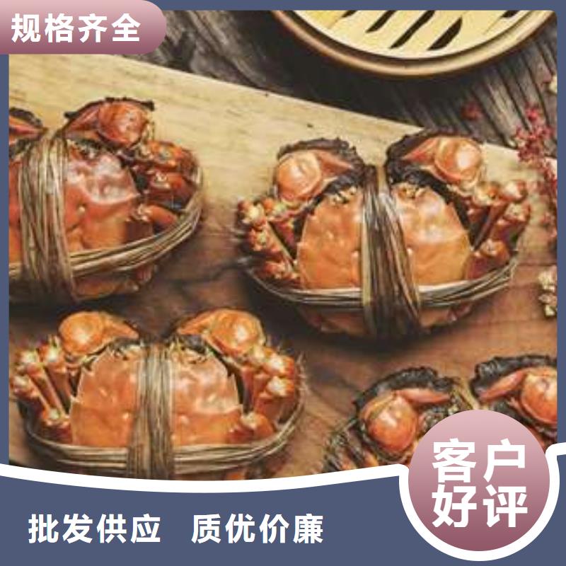 阳澄湖大闸蟹网上订购-视频-广西省贺州市|八步|昭平|北海|崇左|百色|柳州阳澄湖大闸蟹网上订购-顾记