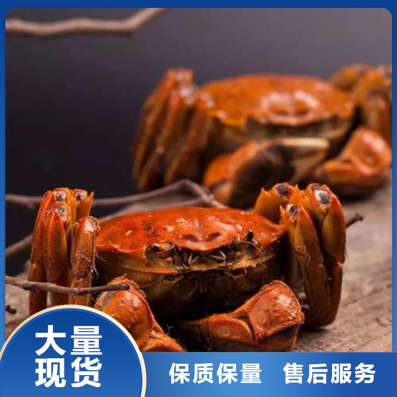 阳澄湖大闸蟹网上订购视频-河北省衡水市顾记阳澄湖大闸蟹网上订购可服务区域饶阳|枣强|唐山|石家庄|张家口|沧州等