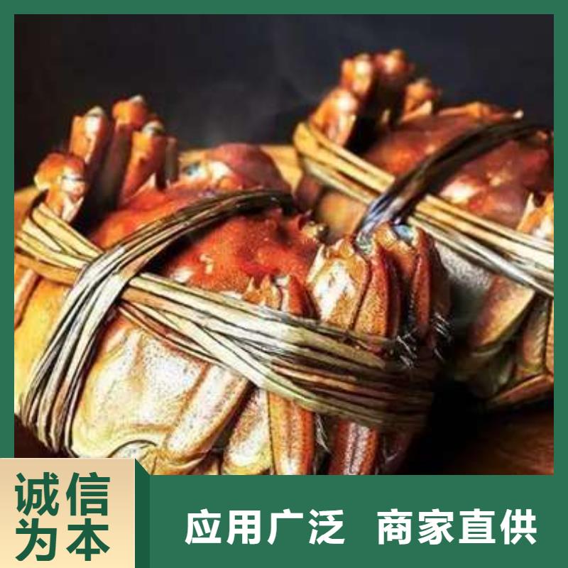 螃蟹,【哪里卖阳澄湖大闸蟹】以质量求生存|高港|靖江|苏州|盐城|无锡|扬州|徐州qy55.com