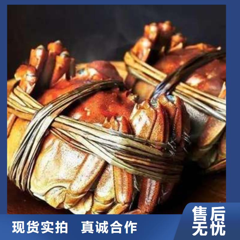 螃蟹,【哪里卖阳澄湖大闸蟹】以质量求生存_阳澄湖镇岛顾记大闸蟹经营部(泰州市分公司)