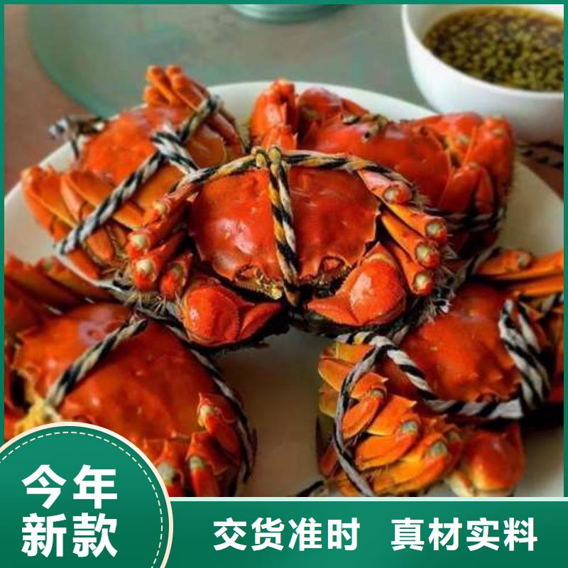 【螃蟹阳澄湖大闸蟹品质有保障】当地货源