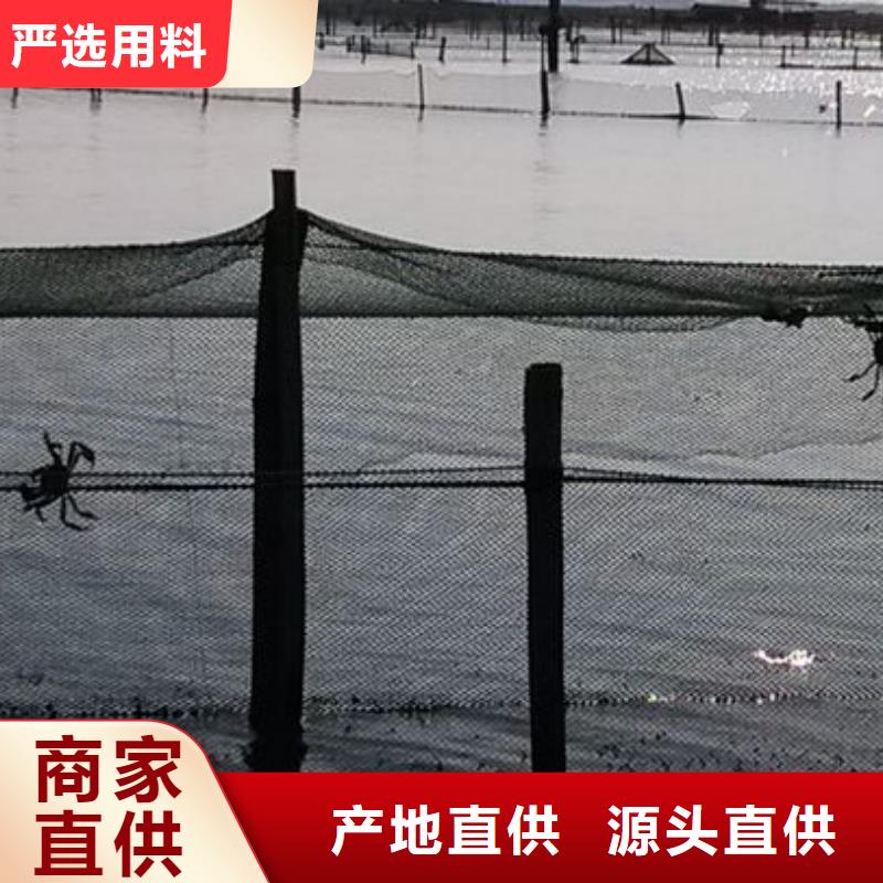 阳澄湖大闸蟹_阳澄湖大闸蟹