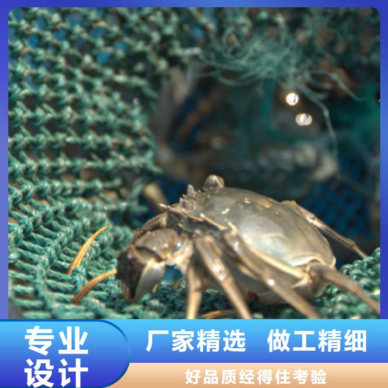 【螃蟹】 阳澄湖大闸蟹多少钱专业生产N年本地品牌