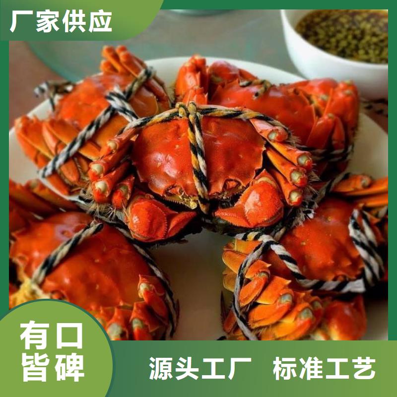 螃蟹,【哪里卖阳澄湖大闸蟹】以质量求生存|高港|靖江|苏州|盐城|无锡|扬州|徐州qy55.com