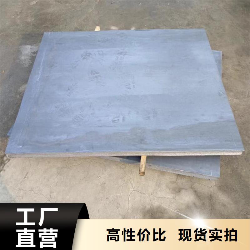 宠物防护铅皮-只做精品