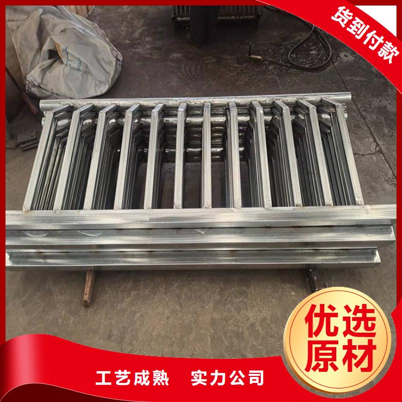 橋梁防撞護欄-不銹鋼立柱支持加工定制