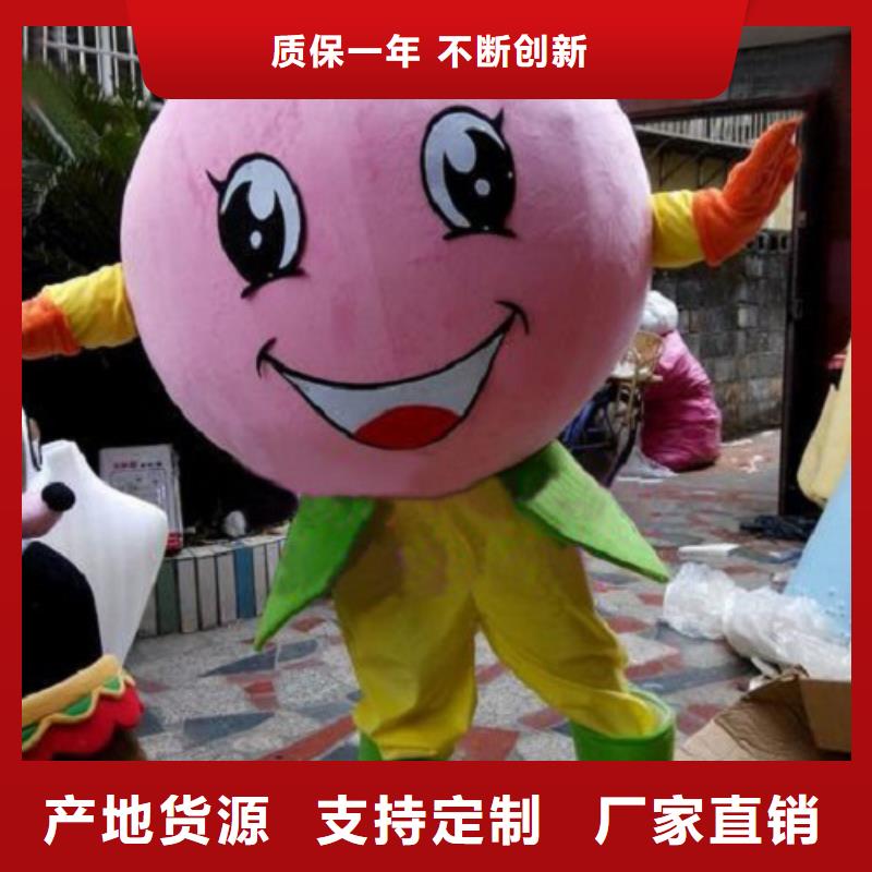 安徽合肥卡通行走人偶制作厂家,动物服装道具工期短