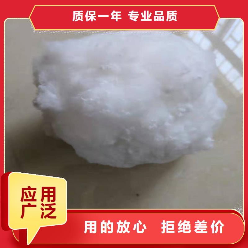 纤维球填料欢迎来电货号2-101