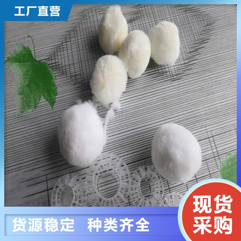 纤维球过滤器来厂考察货号2-101