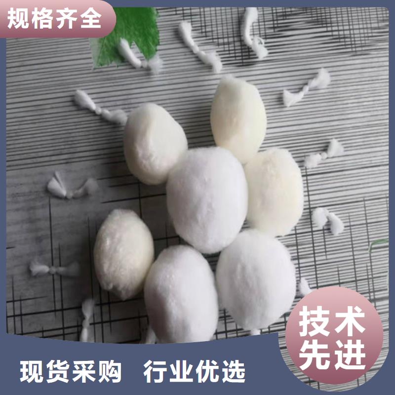 纤维球填料欢迎来电货号2-101