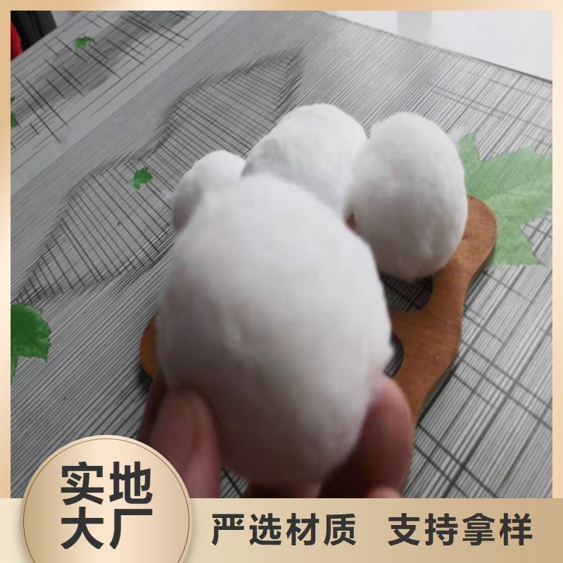 水处理填料聚丙烯酰胺厂家实地大厂