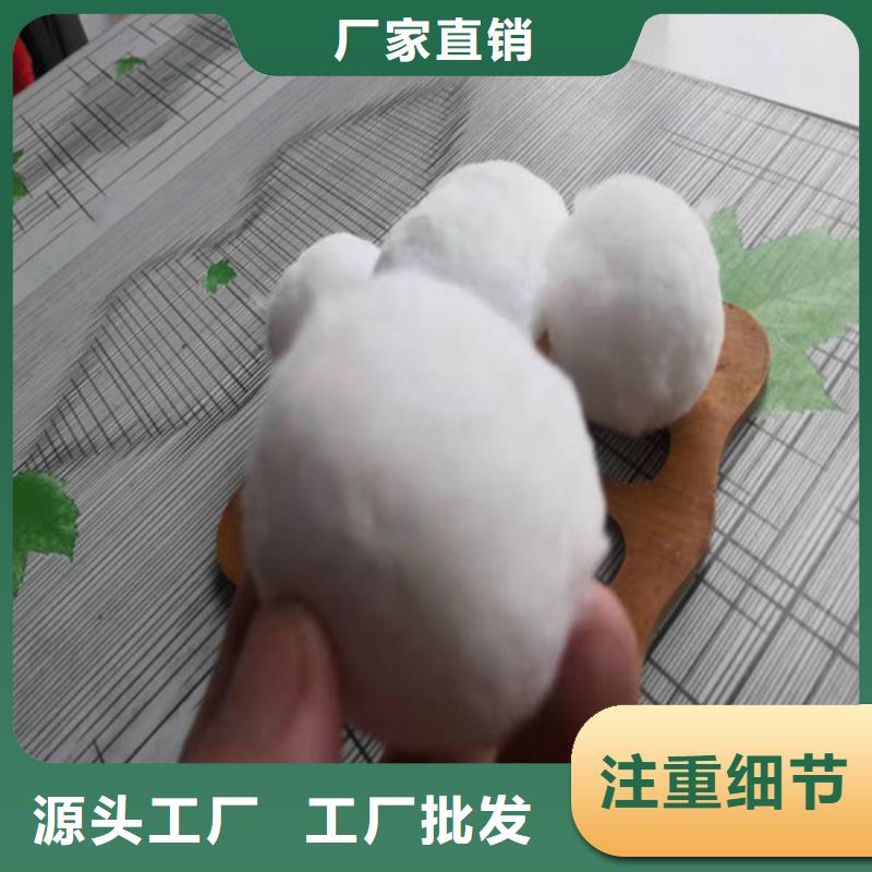 纤维球填料欢迎来电货号2-101