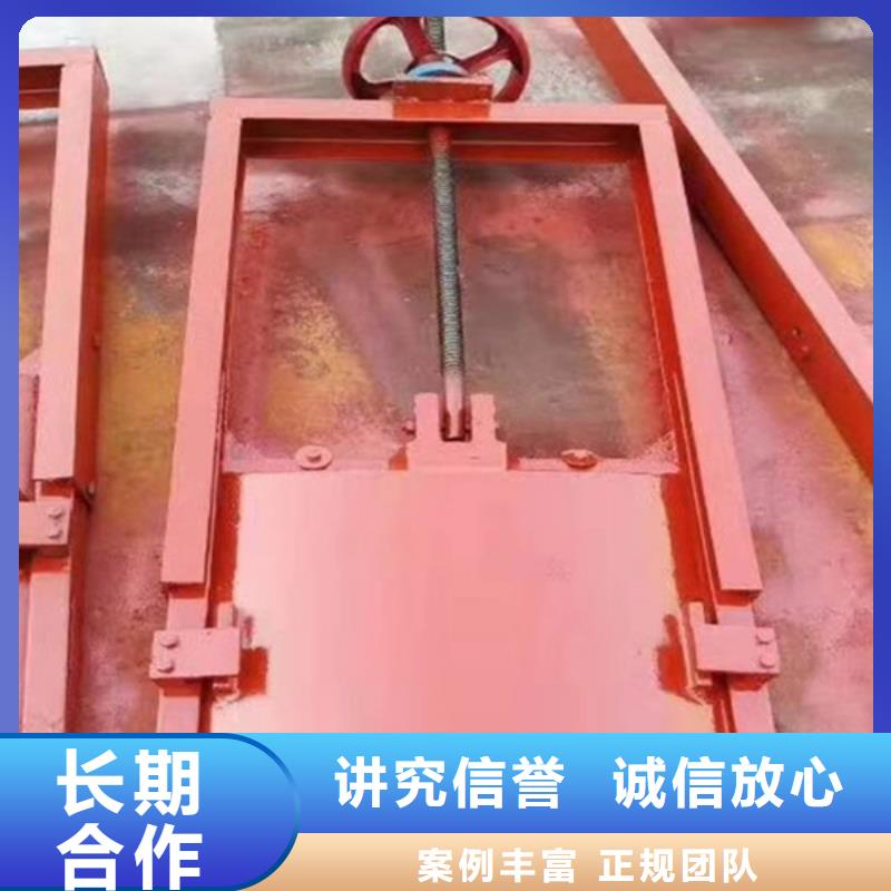 铸铁镶铜闸门