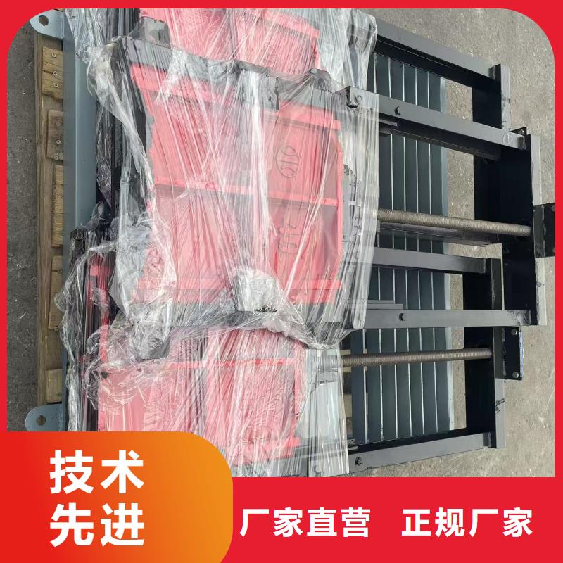 鑄鐵閘門-PZ機閘一體式鑄鐵閘門老牌