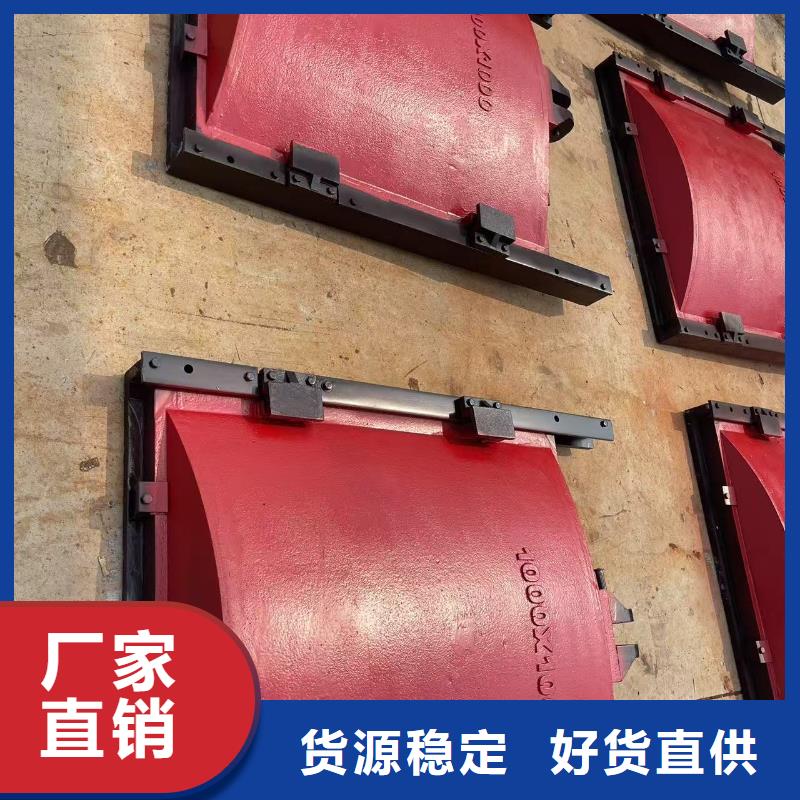 渠道闸门-平面闸门带直联启闭机环保型