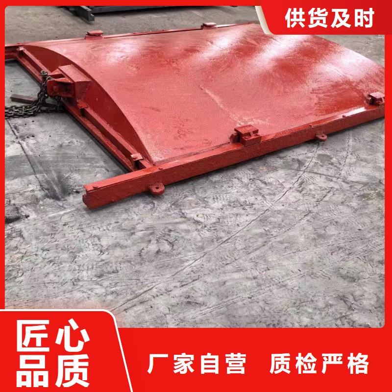 闸门止水pgz闸门百搜不如一问