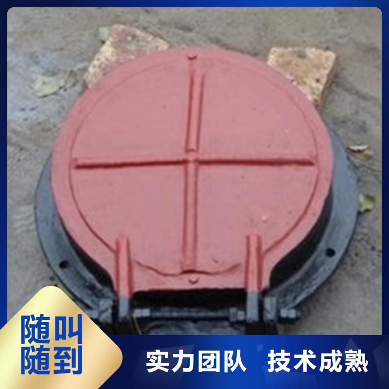大型拍门图文介绍