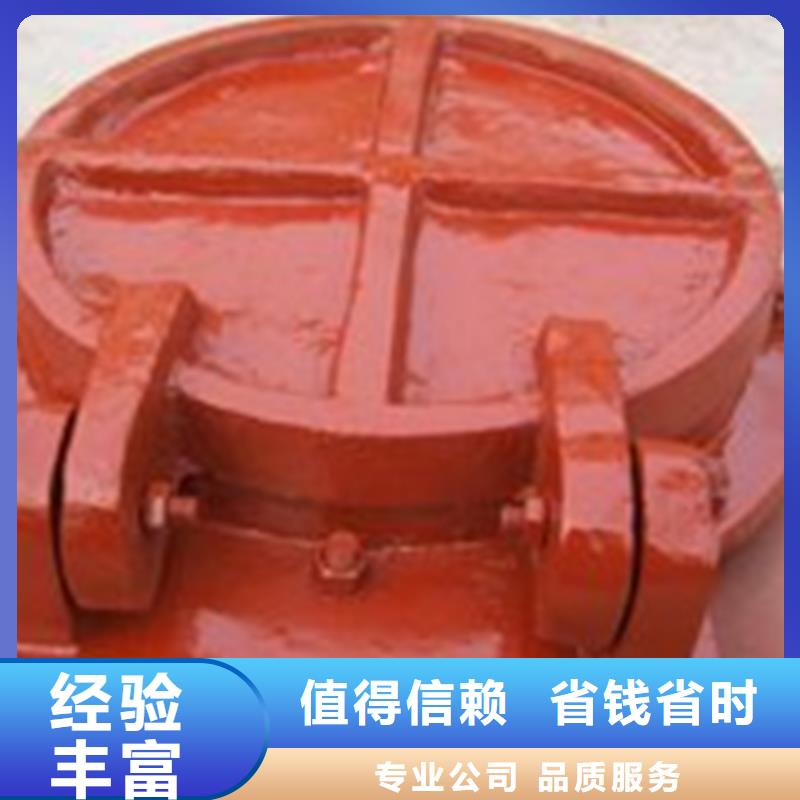质量可靠的方形节能型自由侧翻式拍门销售厂家