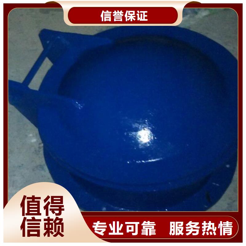 节能型侧翻式拍门厂家现货