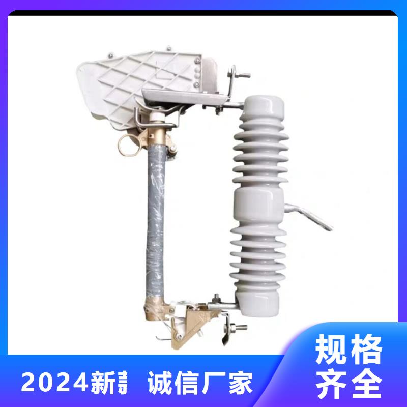 跌落式熔断器熔丝\10KV/15ARW310kV100A加粗